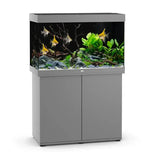 Juwel Rio 290 LED Aquarium and Cabinet - Amazing Amazon