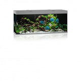 Juwel Rio 450 LED Aquarium Only - Amazing Amazon