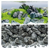Juwel Rock Aquascape Aquarium Background Wallpaper - Amazing Amazon