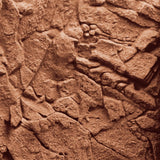 Juwel Stone Clay Aquarium Background - Amazing Amazon
