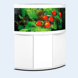 Juwel Trigon 190 LED Corner Aquarium and Cabinet - Amazing Amazon