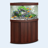 Juwel Trigon 190 LED Corner Aquarium and Cabinet - Amazing Amazon