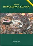 Keeping Shingleback Lizards Book - Amazing Amazon