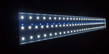 LED Aquarium Lighting 2ft (600mm) - Amazing Amazon