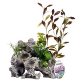 Marina Deco Rock Natural Ornament - Amazing Amazon