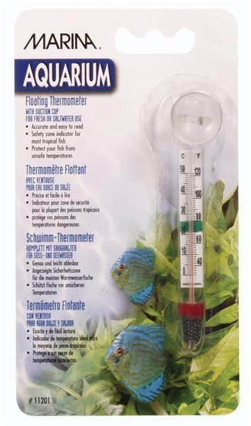 Marina Glass Thermometer - Amazing Amazon