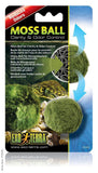 Moss Ball Clarity And Odour Control - Amazing Amazon