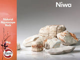 Niwa Aquarium Rock Set Pisces Aquascape - Amazing Amazon