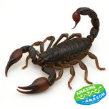 Large Urodacus novaehollandiae scorpion with dark body and claws on white background