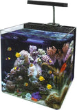 Ocean Free Nano Marine Tank 34 Litre - Amazing Amazon