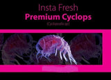 Ocean Free Premium Canned Cyclops 100g - Amazing Amazon
