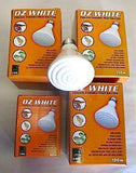 OZ Bright Ceramic 100 Watt Heat Lamp - Amazing Amazon