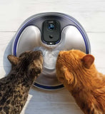 Two cats drinking from a Catit fountain with digital display, ideal for pet hydration