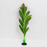 Plastic Aquarium Silk Plant Green 50cm - Amazing Amazon