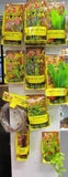 Plastic Plants - Amazing Amazon
