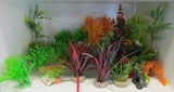 Plastic Plants - Amazing Amazon