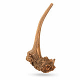 Natural twisted aquarium driftwood with textured surface for fish tanks or reptile enclosures