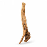Natural driftwood piece for aquarium or reptile enclosure decor on white background