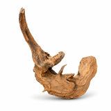 Natural driftwood piece for aquarium or reptile enclosure decoration on white background