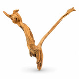 Natural aquarium driftwood branch with twisted shape on white background
