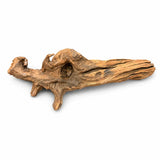Natural aquarium driftwood piece for fish tanks or reptile enclosures on white background