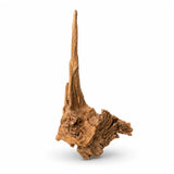 Natural driftwood piece for aquarium or reptile enclosure, isolated on white background