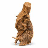 Natural driftwood piece for aquarium or reptile enclosure decoration, isolated on white