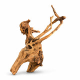 Natural driftwood branch for aquariums or reptile terrariums on white background