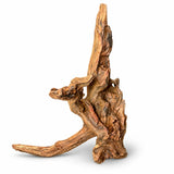 Natural driftwood piece for aquarium or reptile enclosure on white background