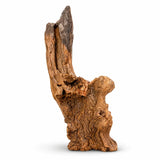 Natural driftwood for aquarium or reptile enclosure, rugged texture, isolated on white