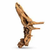 Natural driftwood piece for aquarium or reptile enclosure decoration, isolated on white background.