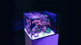 Red Sea Desktop Peninsula Nano Tank - Amazing Amazon