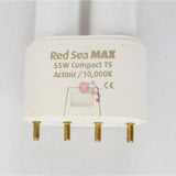 Red Sea Max 130D Replacement Globe - Amazing Amazon