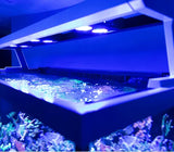 Red Sea Max LED Light Upgrade - Amazing Amazon