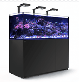 Red Sea Reefer 625 Deluxe XXL Marine Aquarium Black - Amazing Amazon