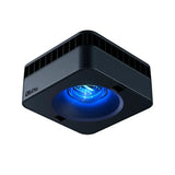 Red Sea ReefLED 170 G2 – Smart LED Reef Aquarium Light - Amazing Amazon