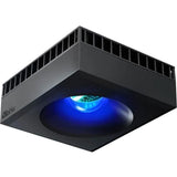 Red Sea ReefLED 50W WIFI Reef Spec LED Free Delivery - Amazing Amazon