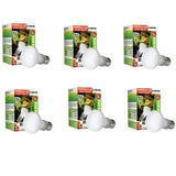 Reptile Day White Basking Spot Lamp 75w x 6 - Amazing Amazon