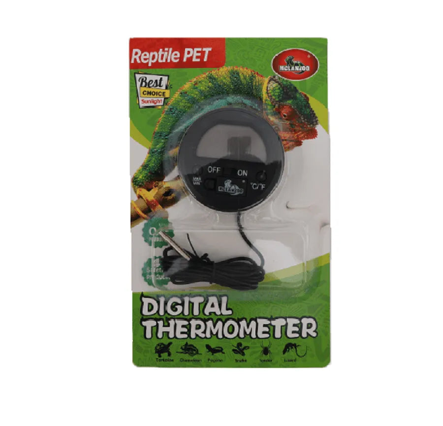 Illustration of Temperature Monitoring For Reptile Caretakers