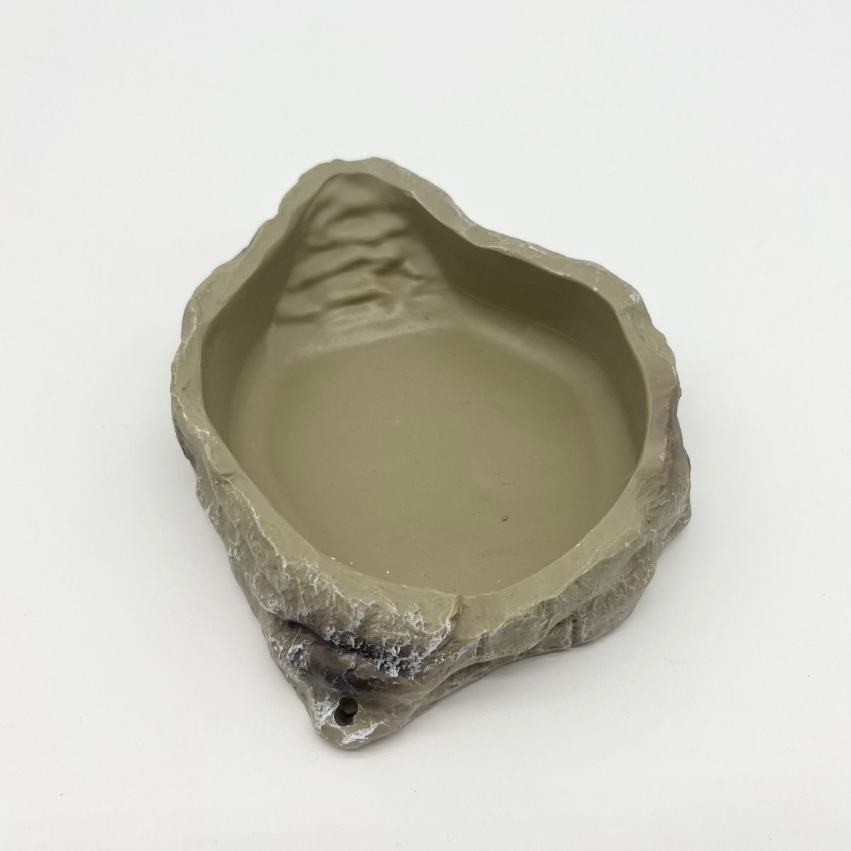 Reptile Food Water Bowl Deep Large Amazing Amazon