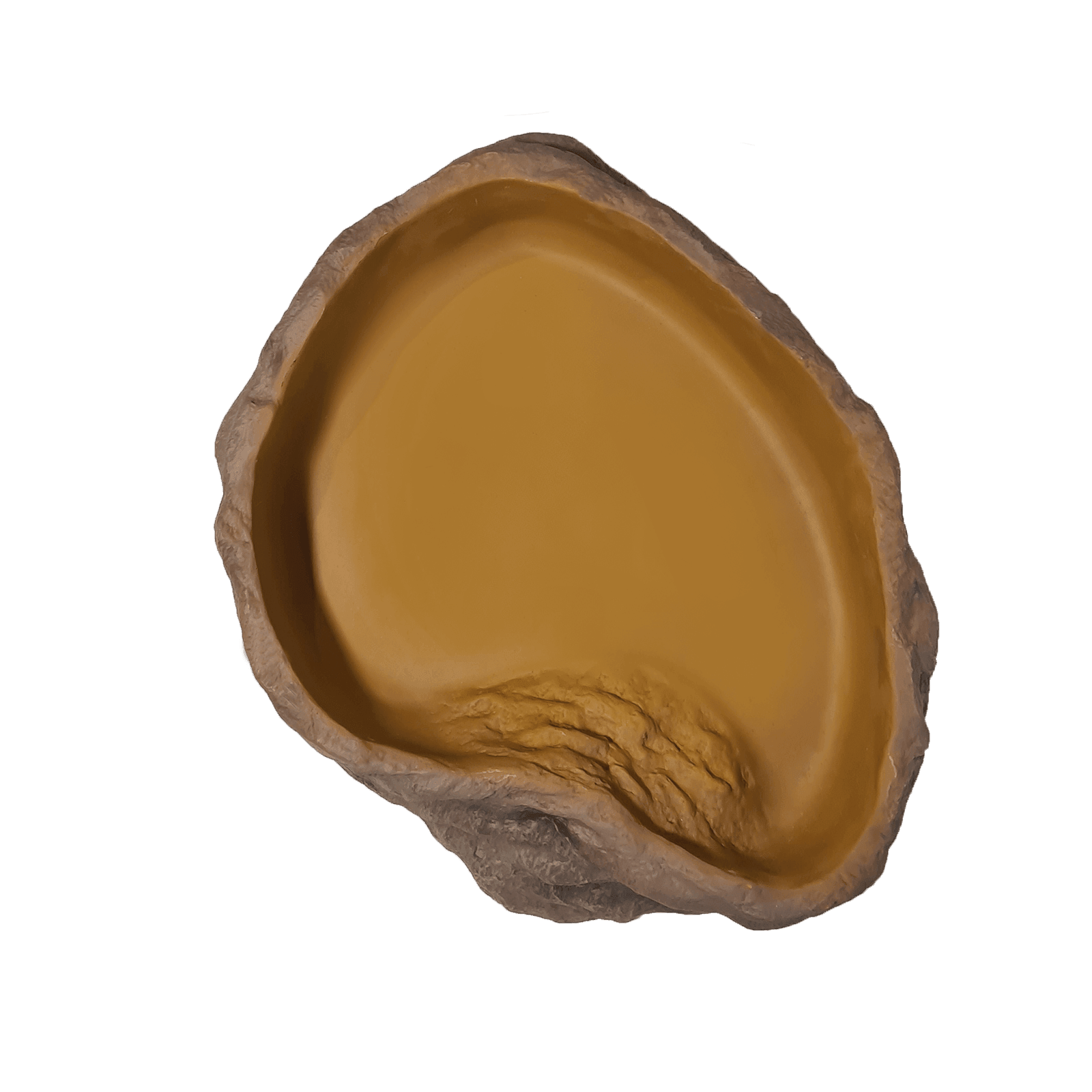 Reptile Food Water Bowl Deep Large Aquarium and Reptiles