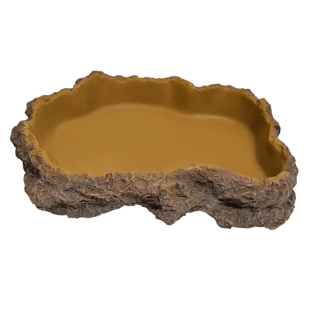 Reptile Food Water Bowl Large Aquarium and Reptiles Amazing Amazon