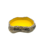 Reptile Food Water Bowl Small - Amazing Amazon