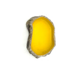 Reptile Food Water Bowl Small - Amazing Amazon