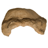 Reptile Hide Cave Large - Amazing Amazon