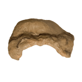 Reptile Hide Cave Large - Amazing Amazon