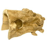 Reptile Hide Hollow Wood Large - Amazing Amazon