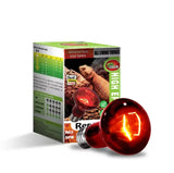 Reptile Infra Red Heat Lamp 50w - Amazing Amazon