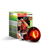 Reptile Infrared Heat Lamp 50W - Amazing Amazon