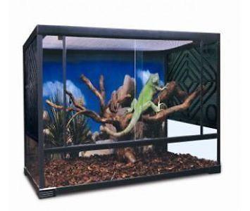 Reptile Lizard Snake Frog Terrarium Tank Enclosure 80cm - Amazing Amazon